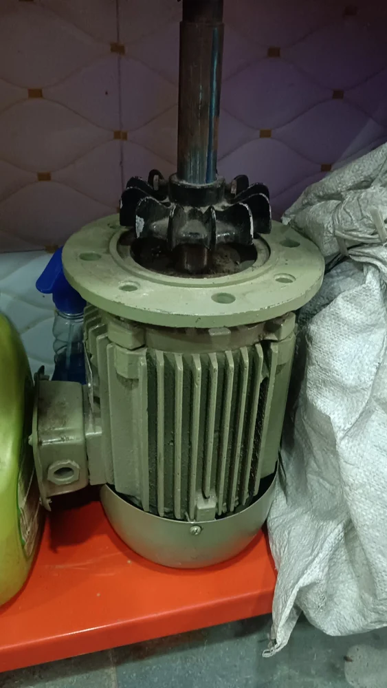 Oven Motor